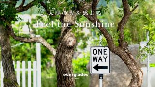 エバーグレイズ琵琶湖