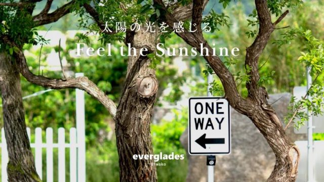 エバーグレイズ琵琶湖