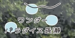 ワンダーパラダイス長瀞